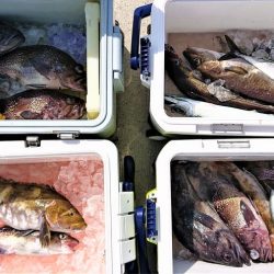 気仙沼　つり丸 釣果