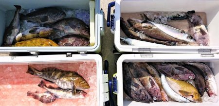 気仙沼　つり丸 釣果