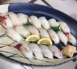 白墨丸 釣果
