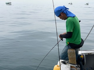 幸吉丸 釣果