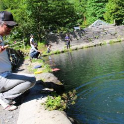 小菅トラウトガーデン 釣果