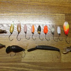 小菅トラウトガーデン 釣果