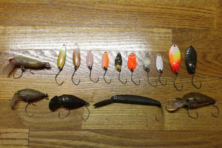 小菅トラウトガーデン 釣果