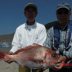 大進丸（新潟） 釣果