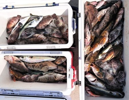 気仙沼　つり丸 釣果