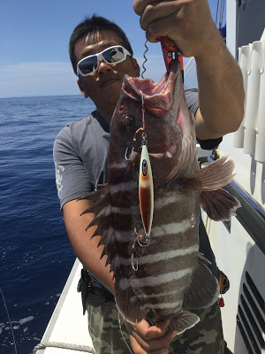 凪紗丸 釣果