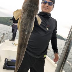 Magic（マジック） 釣果