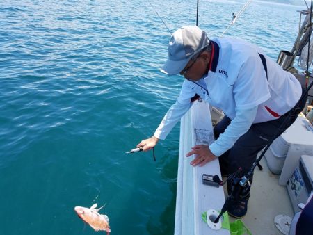 遊漁船 ニライカナイ 釣果
