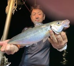 愛海丸 釣果