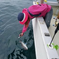 遊漁船 ニライカナイ 釣果