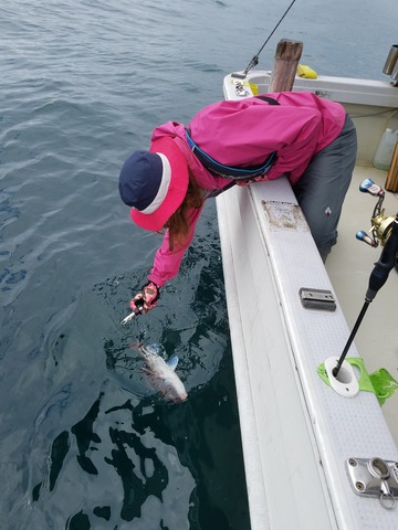 遊漁船 ニライカナイ 釣果