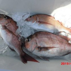 大進丸(新潟) 釣果