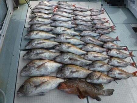 遊漁船 幸友丸 釣果