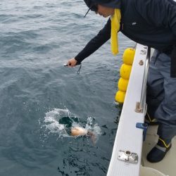 遊漁船 ニライカナイ 釣果