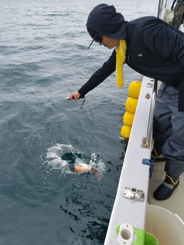 遊漁船 ニライカナイ 釣果