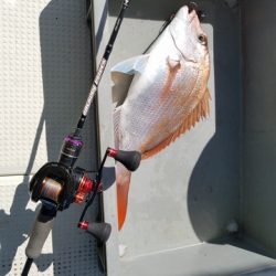 遊漁船 ニライカナイ 釣果