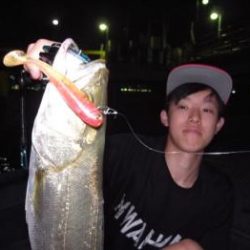 シーマジカル 釣果