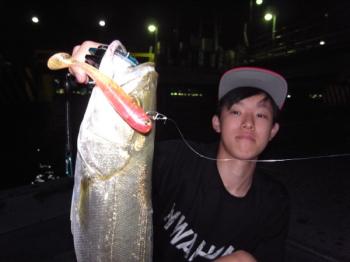 シーマジカル 釣果