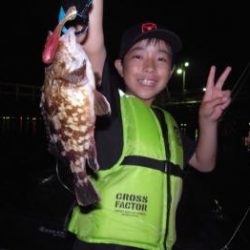 シーマジカル 釣果