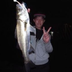 シーマジカル 釣果