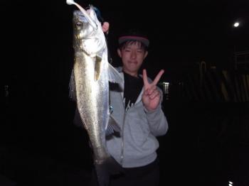 シーマジカル 釣果