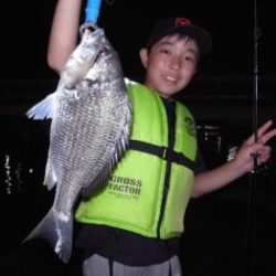 シーマジカル 釣果