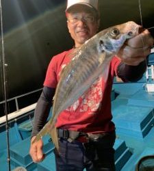 愛海丸 釣果