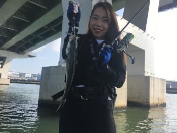 シーマジカル 釣果