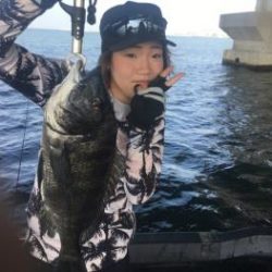 シーマジカル 釣果