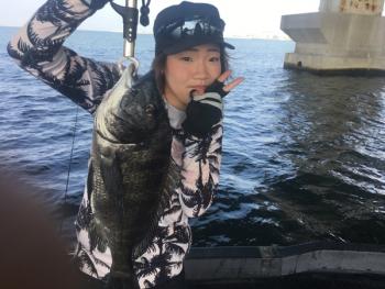 シーマジカル 釣果