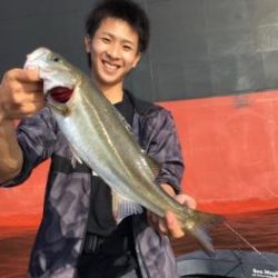 シーマジカル 釣果