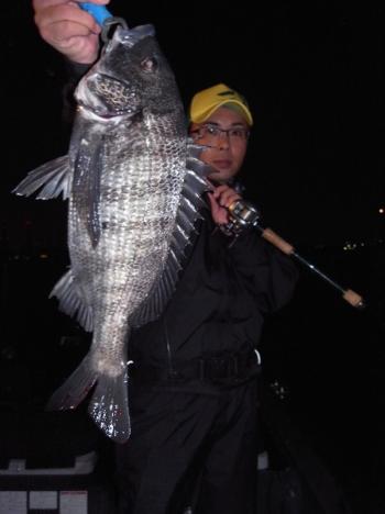 シーマジカル 釣果