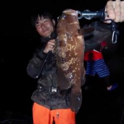 シーマジカル 釣果