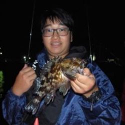 シーマジカル 釣果