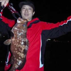 シーマジカル 釣果