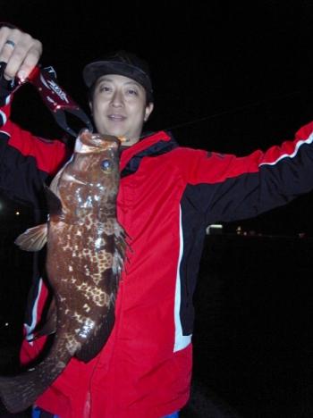 シーマジカル 釣果