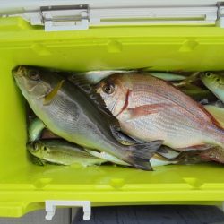 ＨＡＲＵＫＡ丸　はるかまる 釣果