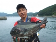 春日丸 釣果
