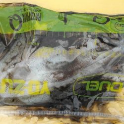 こかわ渡船　雅丸 釣果