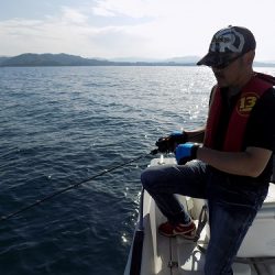 フィッシングボート空風(そらかぜ) 釣果