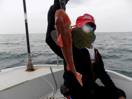 フィッシングボート空風(そらかぜ) 釣果