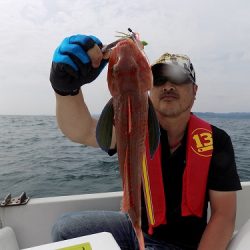 フィッシングボート空風(そらかぜ) 釣果