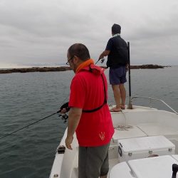 フィッシングボート空風（そらかぜ） 釣果