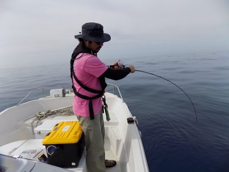 フィッシングボート空風（そらかぜ） 釣果