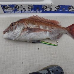 フィッシングボート空風（そらかぜ） 釣果