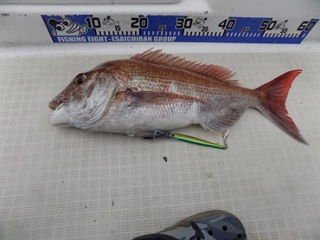 フィッシングボート空風（そらかぜ） 釣果