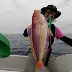 フィッシングボート空風（そらかぜ） 釣果