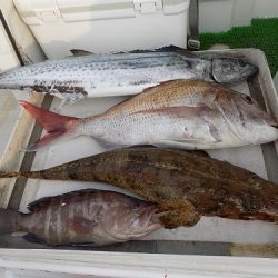 フィッシングボート空風（そらかぜ） 釣果