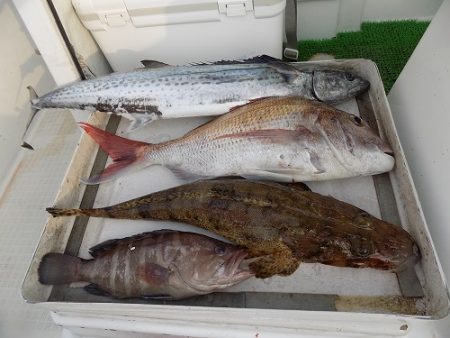 フィッシングボート空風（そらかぜ） 釣果