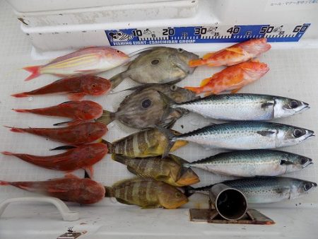 フィッシングボート空風（そらかぜ） 釣果